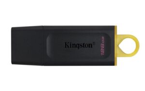 KINGSTON 128GB DataTraveler Exodia USB 3.2 Gen1 DTX/128GB