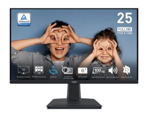 Monitor 25 MSI PRO MP251 FHD IPS 100Hz HDMI/VGA