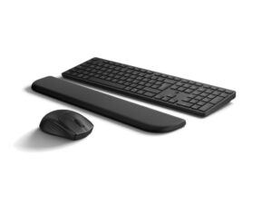 HP PSG Tastatura+miš HP 580C Dual mode/Palm rest/US/crna