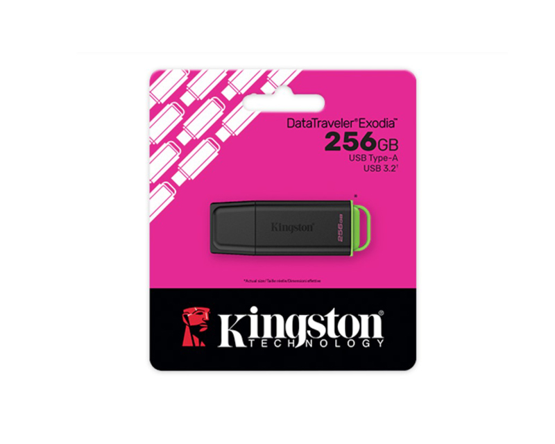 MEM UFD 256GB DTXG2 Kingston DTXG2/256GB - Слика 2