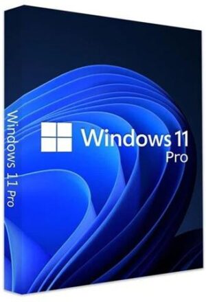 Microsoft MS GGK Win Pro 11 64bit Eng Intl 1pk DVD, 4YR-00316