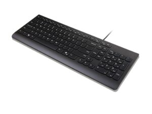 Lenovo Essential Wired Keyboard (Black) - Slovenian 234